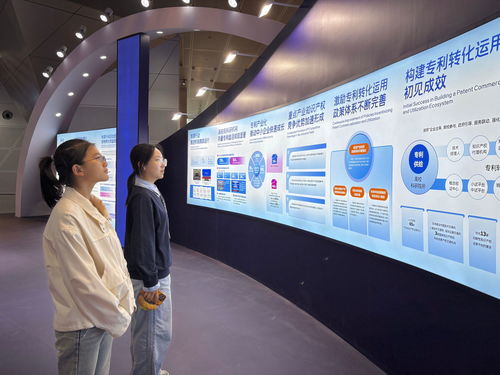 我校師生參加第十四屆中國國際專利技術與產品交易會，聚焦信息技術咨詢服務創新
